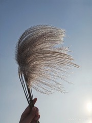 130062
