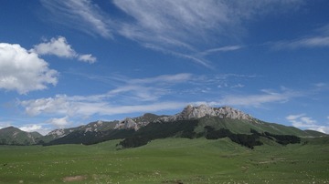 DSC09561(1)
