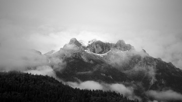 DSC01557_HZP1(1)