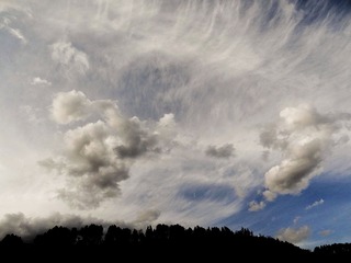 DSC00729_HZP_副本