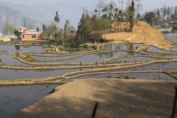 IMG_1660.JPG