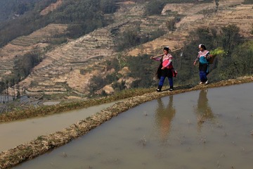 IMG_2032.JPG