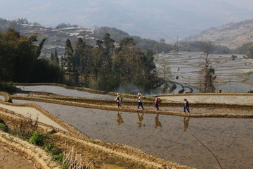 IMG_2129.JPG