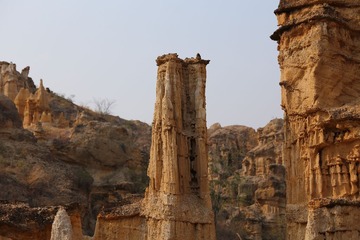 IMG_3050.JPG