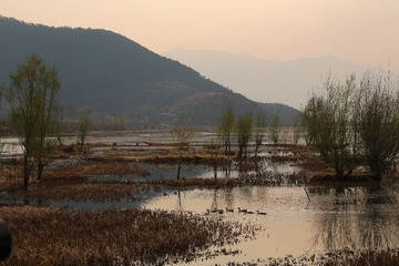 IMG_3968.JPG