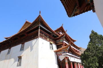 IMG_3783.JPG