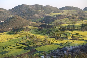 IMG_1328.JPG