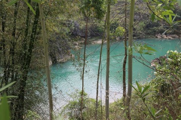 IMG_4487.JPG