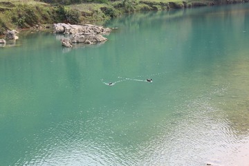 IMG_4587.JPG