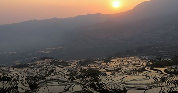 IMG_1514.JPG