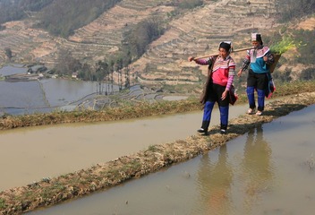 IMG_2034.JPG