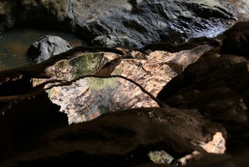 IMG_4284.JPG