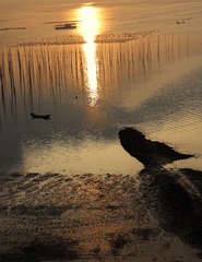 IMG_5092.JPG