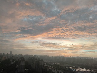 1000024459