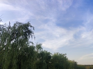 8847