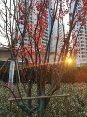 IMG20250112170247