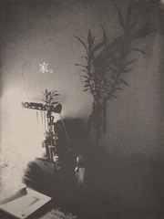 家 (4).jpg