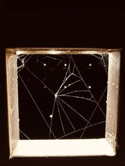 1000010778