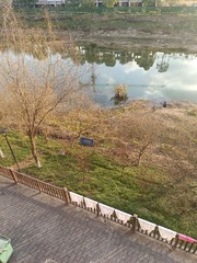 1000042961