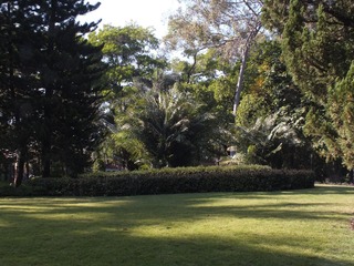 DSCF3582