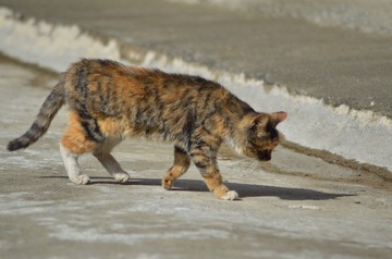201216