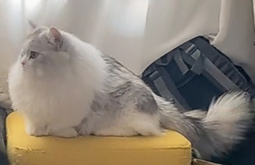 1009751