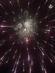 1010240