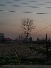 1000007818