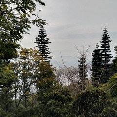 1304523