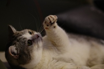 7910