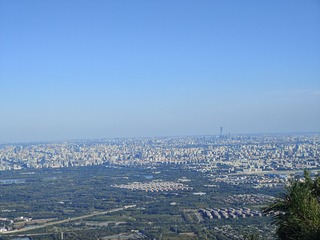 1000038025