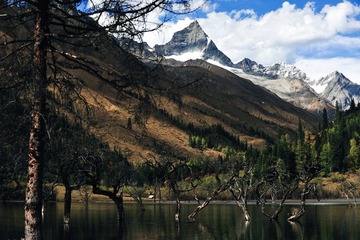 11J_3347-2-2.jpg