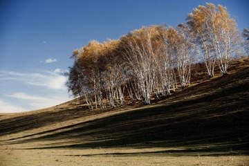 12E_9498S.jpg