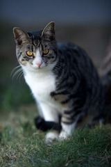 _DSC_0423.jpg