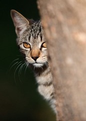 _DSC_0535.jpg