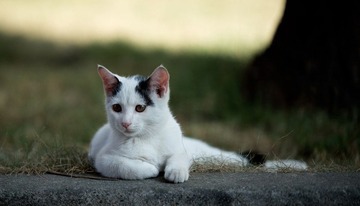 _DSC_0564.jpg