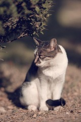_DSC_0603act.jpg