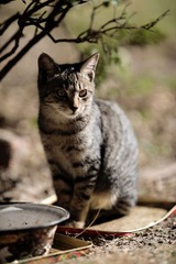_DSC_0689.jpg