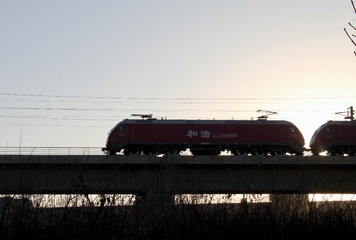 1000022976