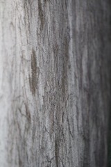 IMG_0689.JPG