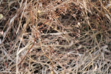 IMG_0718.JPG