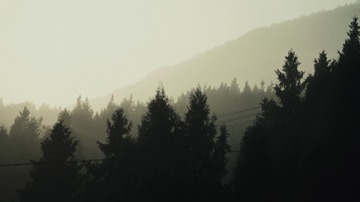 C37B2219-E3B4-4BFC-B910-BA8D7C2918A5/L0/001
