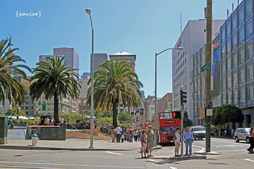 IMG_1345.jpg