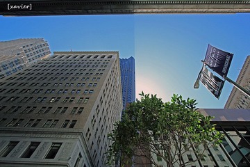 IMG_1389.jpg