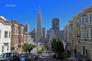 IMG_1433.jpg
