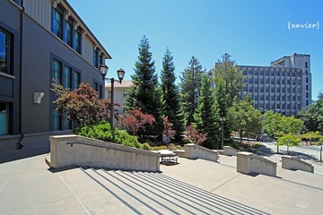 IMG_1658.jpg