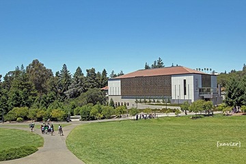 IMG_1688.jpg