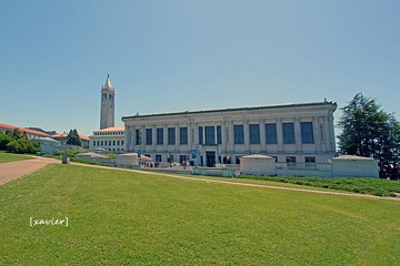 IMG_1694.jpg
