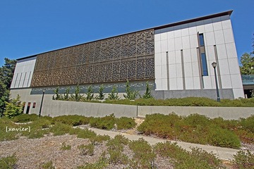 IMG_1695.jpg