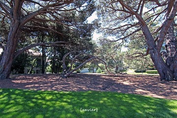 IMG_1706.jpg